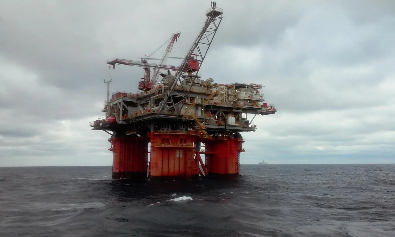 Pale CFA: kiedy wybrać pale wiercone CFA na fundamenty palowe?
